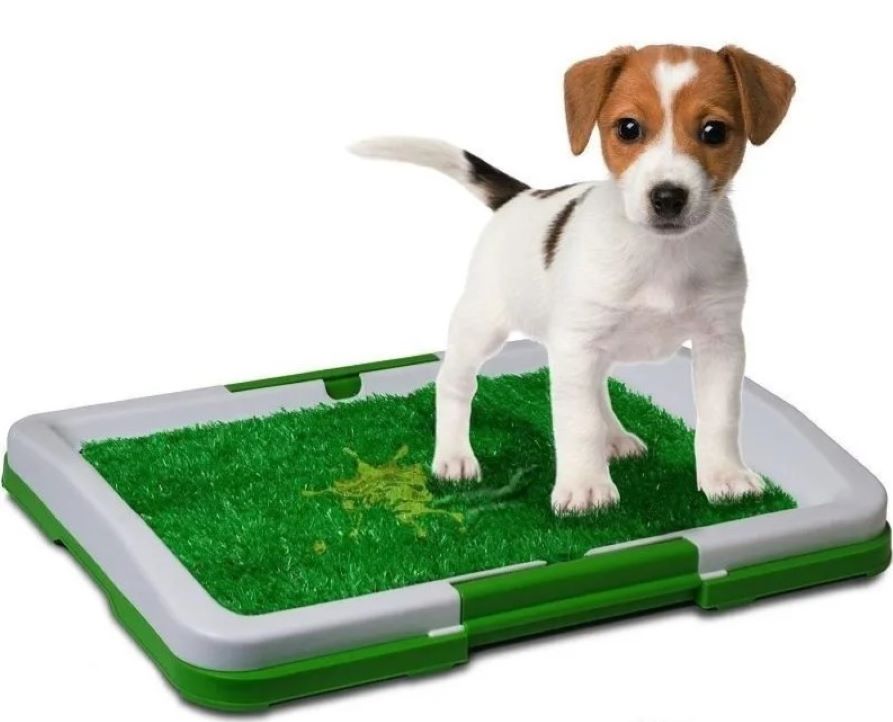 TAPETE PARA PERRO DE ENTRENAMIENTO