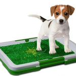 TAPETE PARA PERRO DE ENTRENAMIENTO
