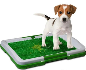 TAPETE PARA PERRO DE ENTRENAMIENTO