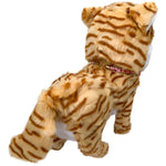 ROBOT GATO MASCOTA