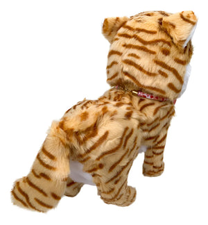 ROBOT GATO MASCOTA